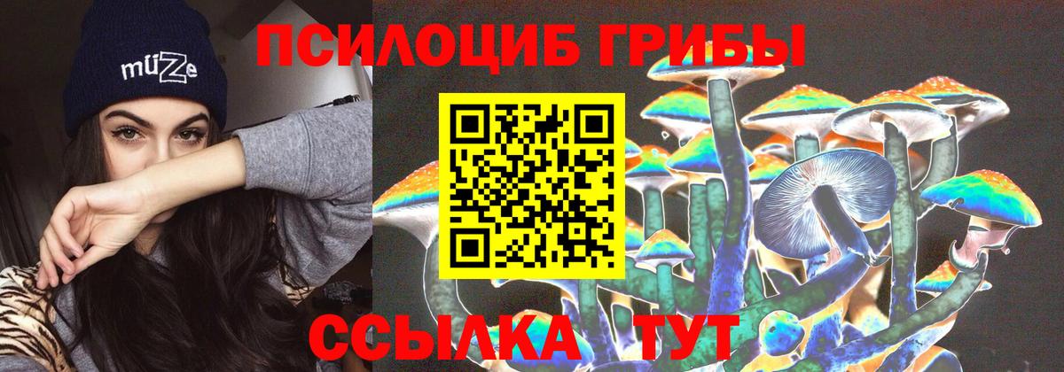 Псилоцибиновые грибы прущие грибы Дубна
