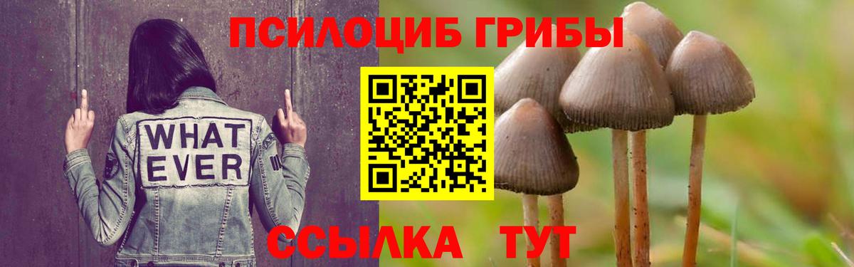 Дубна  Галлюциногенные грибы MAGIC MUSHROOMS  Вход с VPN 